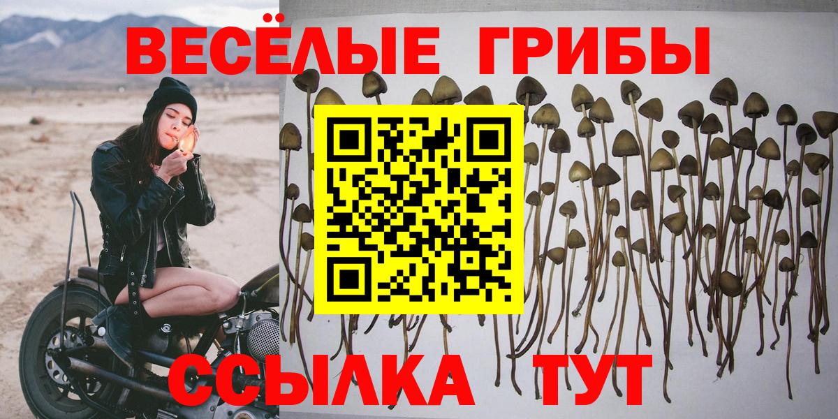 Псилоцибиновые грибы GOLDEN TEACHER Советский