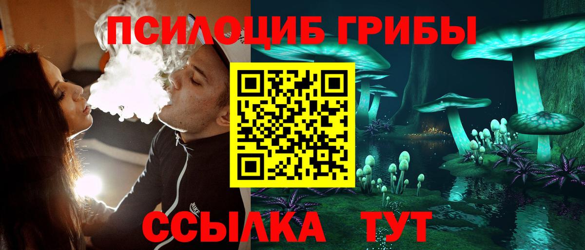 Галлюциногенные грибы Psilocybe  Вход с VPN  наркотики  Советский 